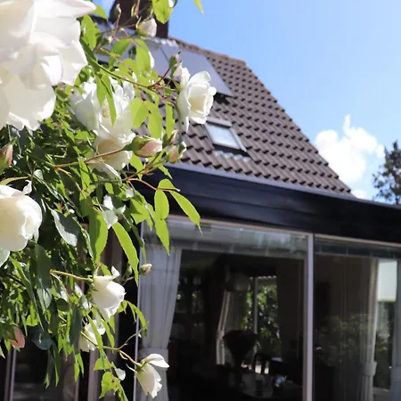 Ferienhaus In By Forest & Noordwijkerhout