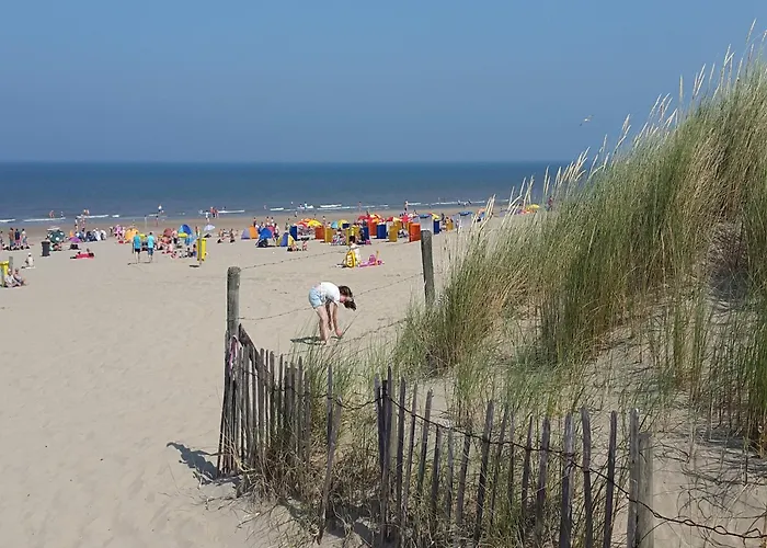 In By Forest & Casa de Férias Noordwijkerhout