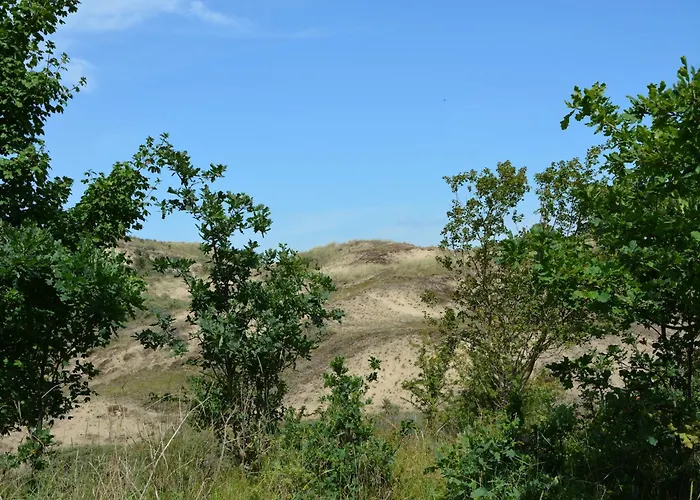 In By Forest & بيت للعطل نوردفايكرهاوْت