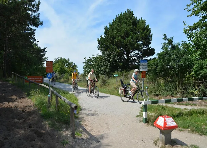 In By Forest & بيت للعطل *