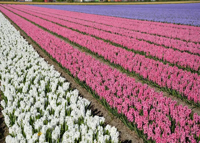 بيت للعطل In By Forest & نوردفايكرهاوْت